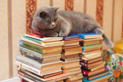 Лев Киселев. Персональный сайт. Мурзик любит книги...